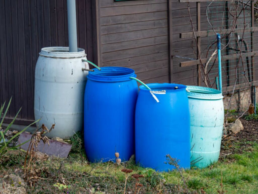 Rain Gardens